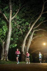 BIB: 
                            <button type="button" onclick="openModal(26547956)" class="btn btn-primary btn-sm float-right btn-popup" data-toggle="modal" data-target=".modal-high-quality">
                        <i class="fas fa-shopping-cart"></i> Add to Cart
                    </button>
                                            <button type="button" onclick="isThisMe(26547956, true)" class="btn btn-success btn-sm float-right btn-popup btn-isme hidden" data-toggle="tooltip" data-placement="bottom" title="นี่คือรูปของคุณใช่ไหม คลิกที่นี่เพื่อเอาเข้าอัลบั้ม">
                        <i class="fas fa-plus"></i> Add to album
                    </button>
                    <button type="button" onclick="isThisMe(26547956, false)" class="btn btn-warning btn-sm float-right btn-popup btn-isnotme hidden">
                        <i class="fas fa-ban"></i> Remove from album
                    </button>